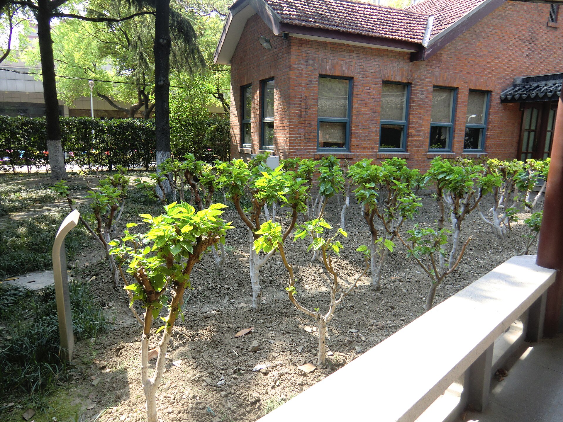Touring a silk factory near Shanghai 02 — industrial site in Shanghai, China